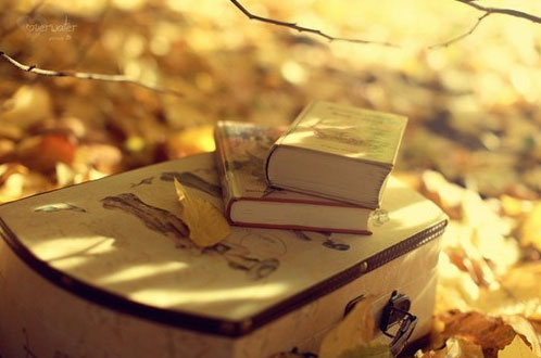 一個孩子執著的信念