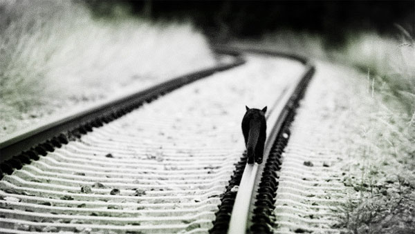 汽車服務O2O-Yocar周新楷：2014年，我們創業失敗了