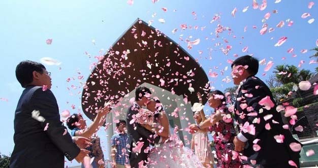 80后陳妍：獨辟蹊徑賣花瓣兩年賺了100萬